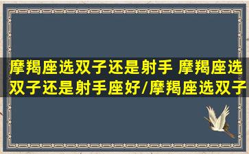 摩羯座选双子还是射手 摩羯座选双子还是射手座好/摩羯座选双子还是射手 摩羯座选双子还是射手座好-我的网站